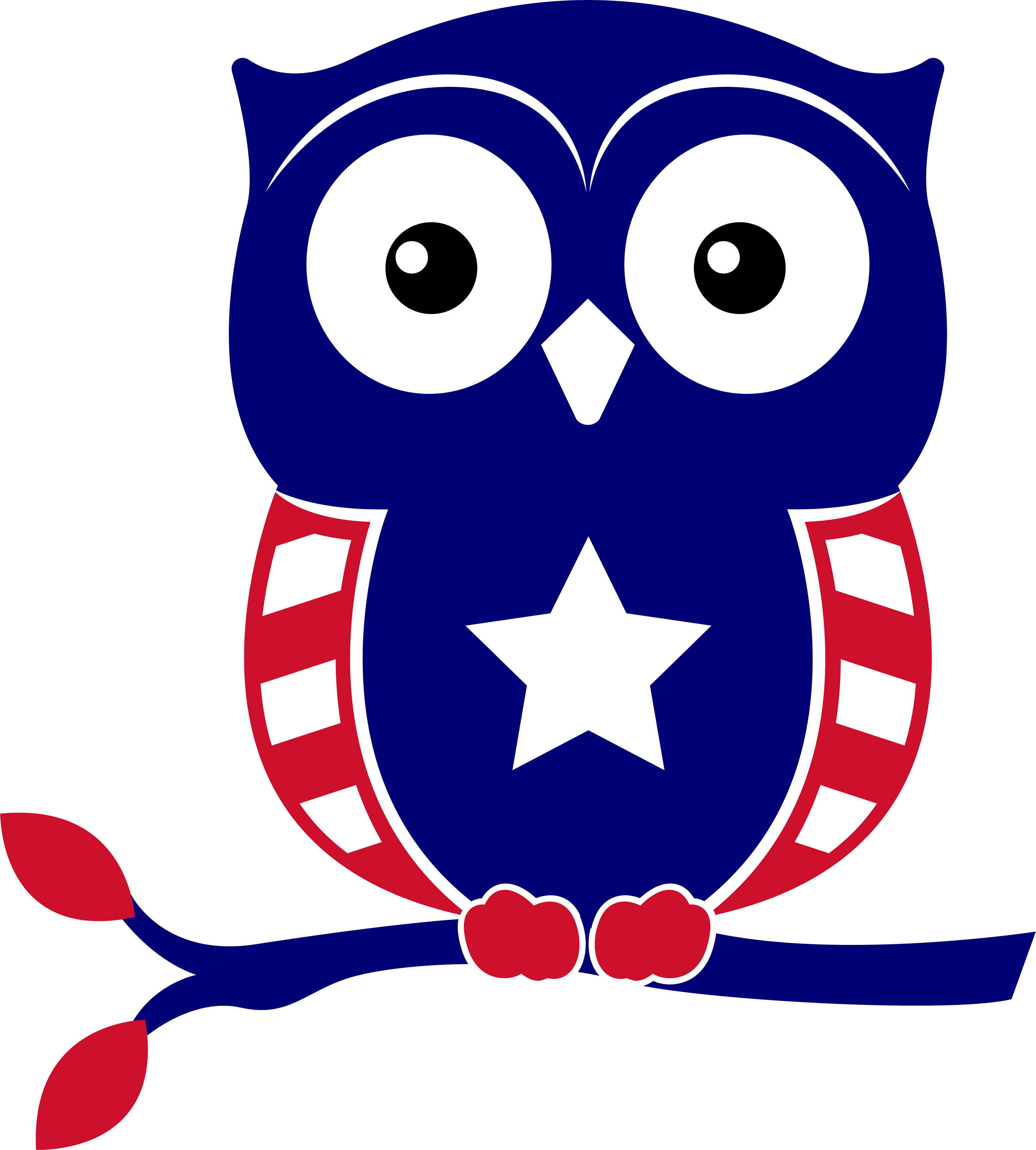 Owl 4th of july