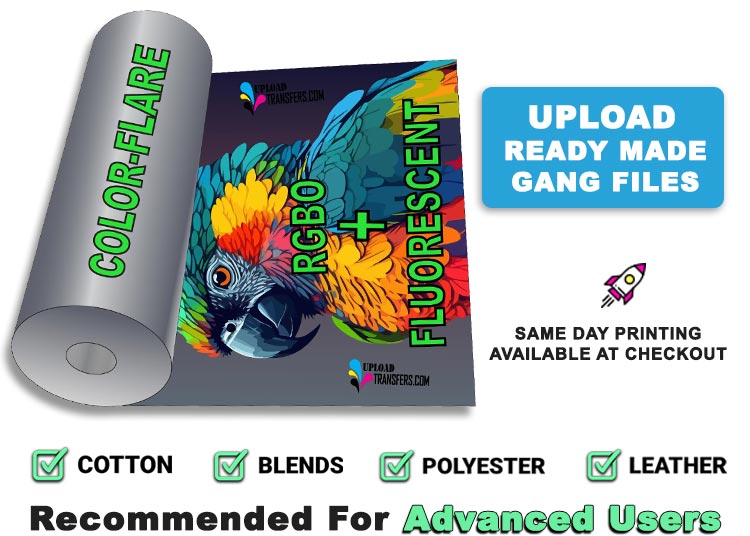 color-flare-main-image blank